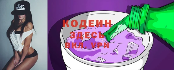 молекула духа Арсеньев