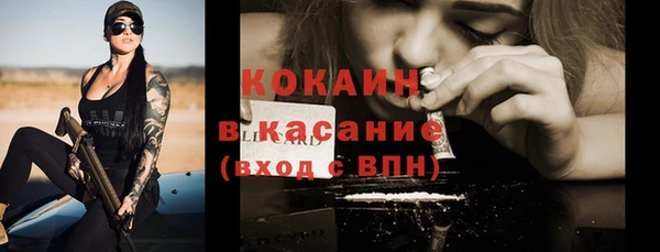 молекула духа Арсеньев