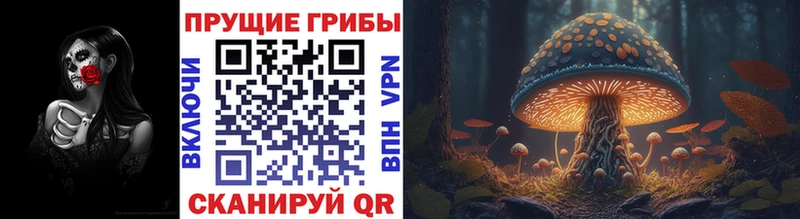 Купить где  Нахабино  Псилоцибиновые грибы Magic Shrooms 