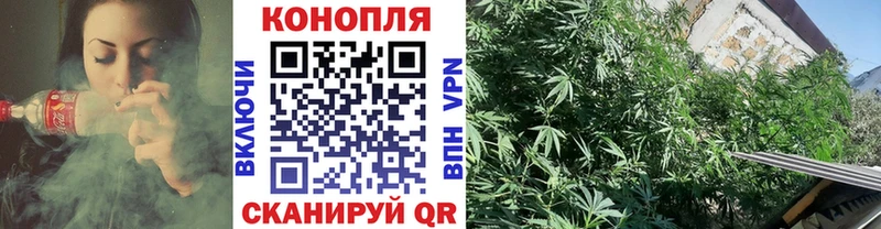 Каннабис Bruce Banner  Купить закладки  Нахабино 